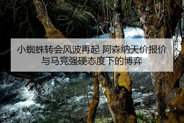 小蜘蛛转会风波再起 阿森纳天价报价与马竞强硬态度下的博弈（GuangfaSports）